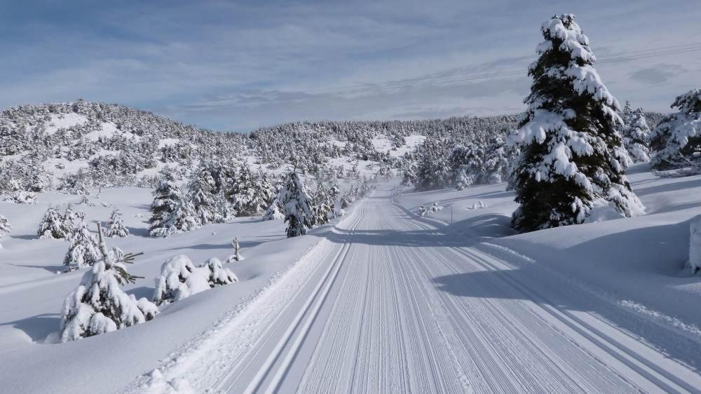 Greolieres Les Neiges Daire Dış mekan fotoğraf